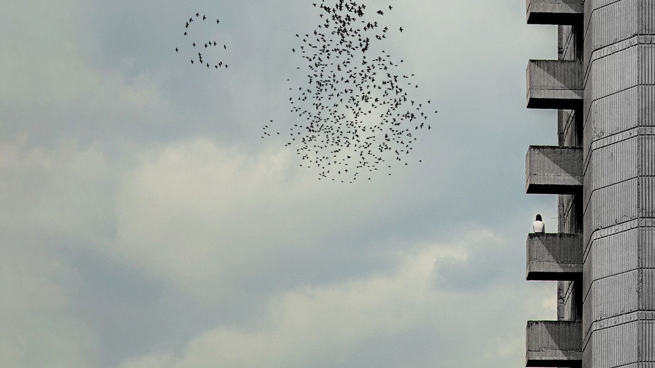 Concrete Time backdrop