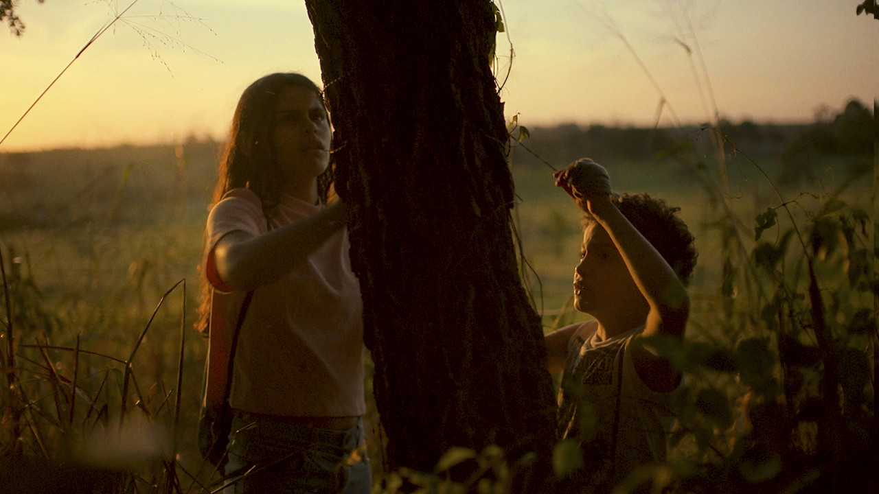 Barbed Wire backdrop