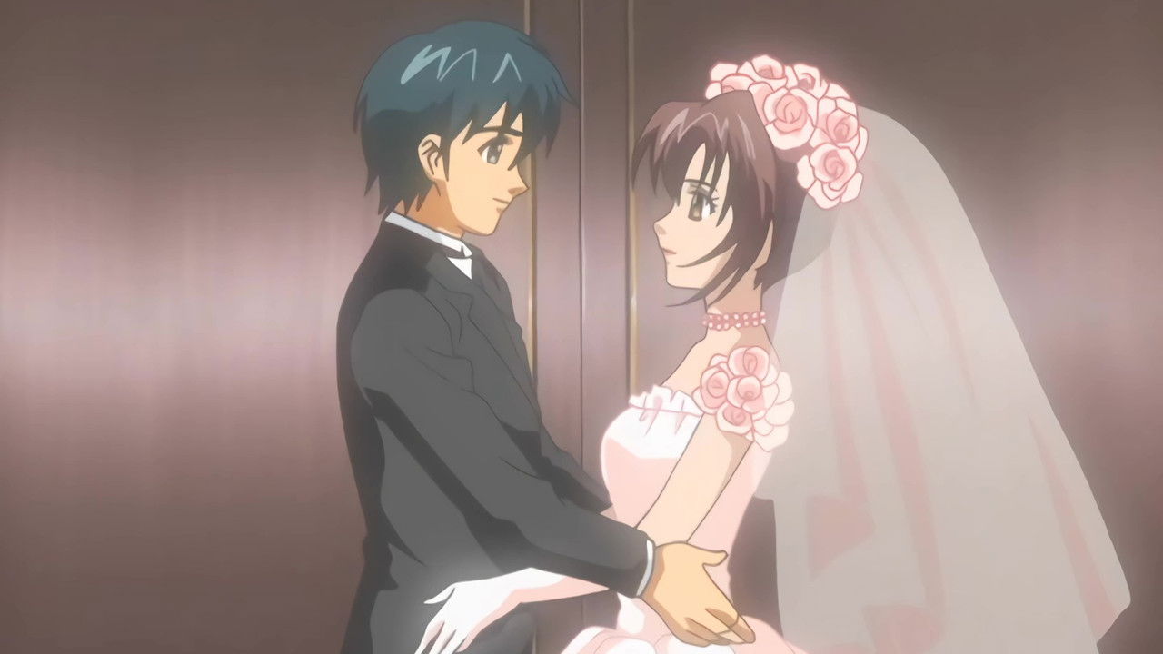 My Brother's Wife backdrop