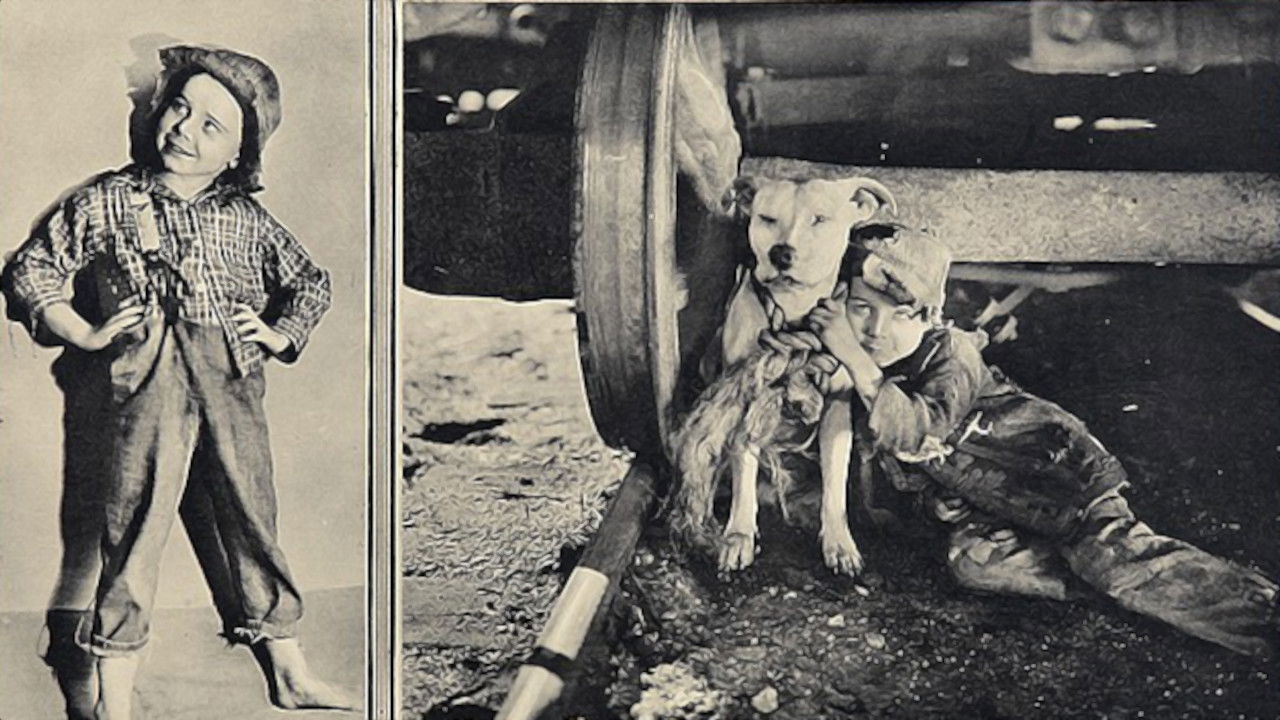 The Big Adventure backdrop