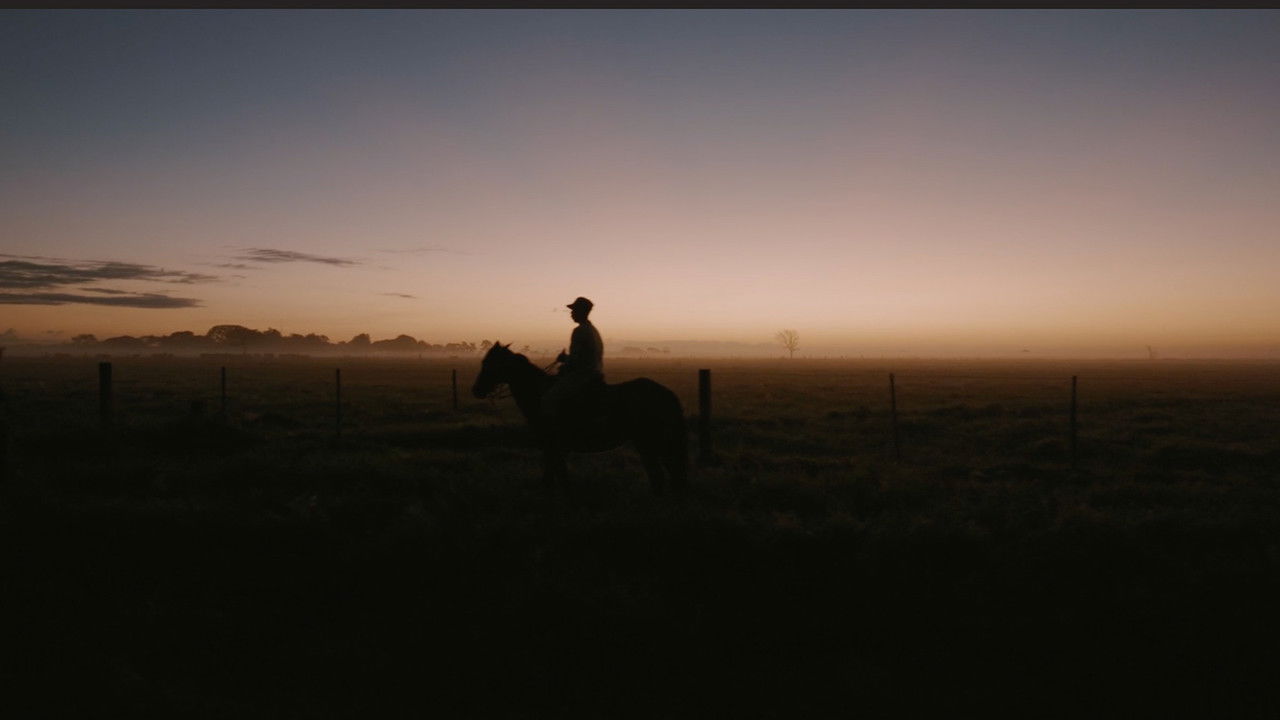 Resolve in Venezuela backdrop