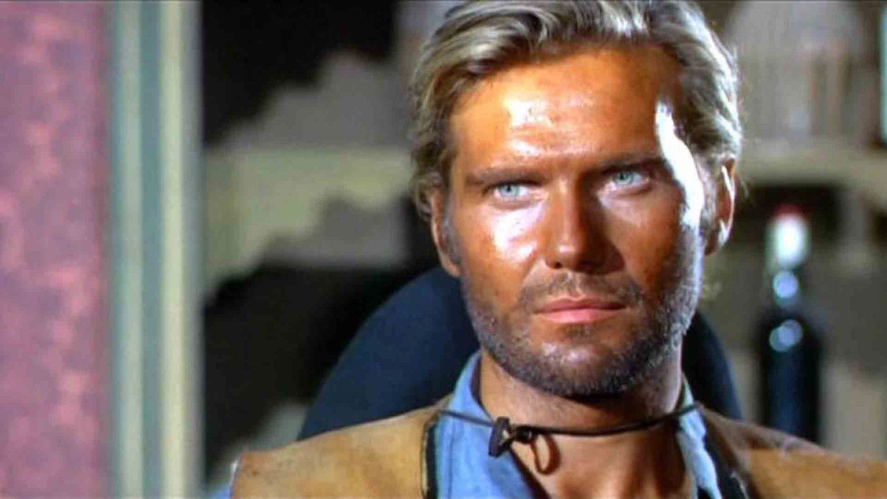 The Law of Violence backdrop