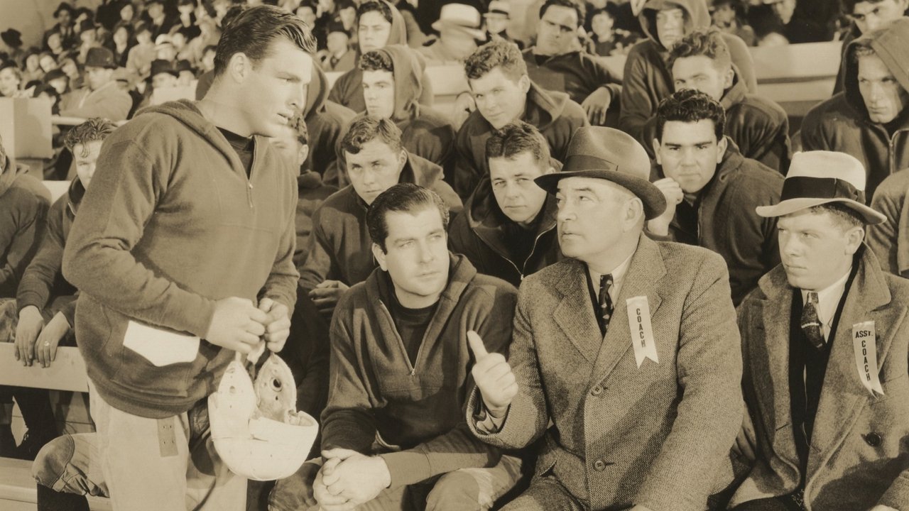 Hold 'Em Yale backdrop