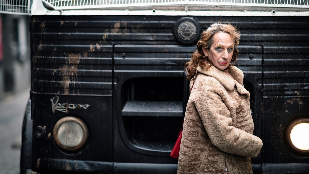 My Tender Matador backdrop