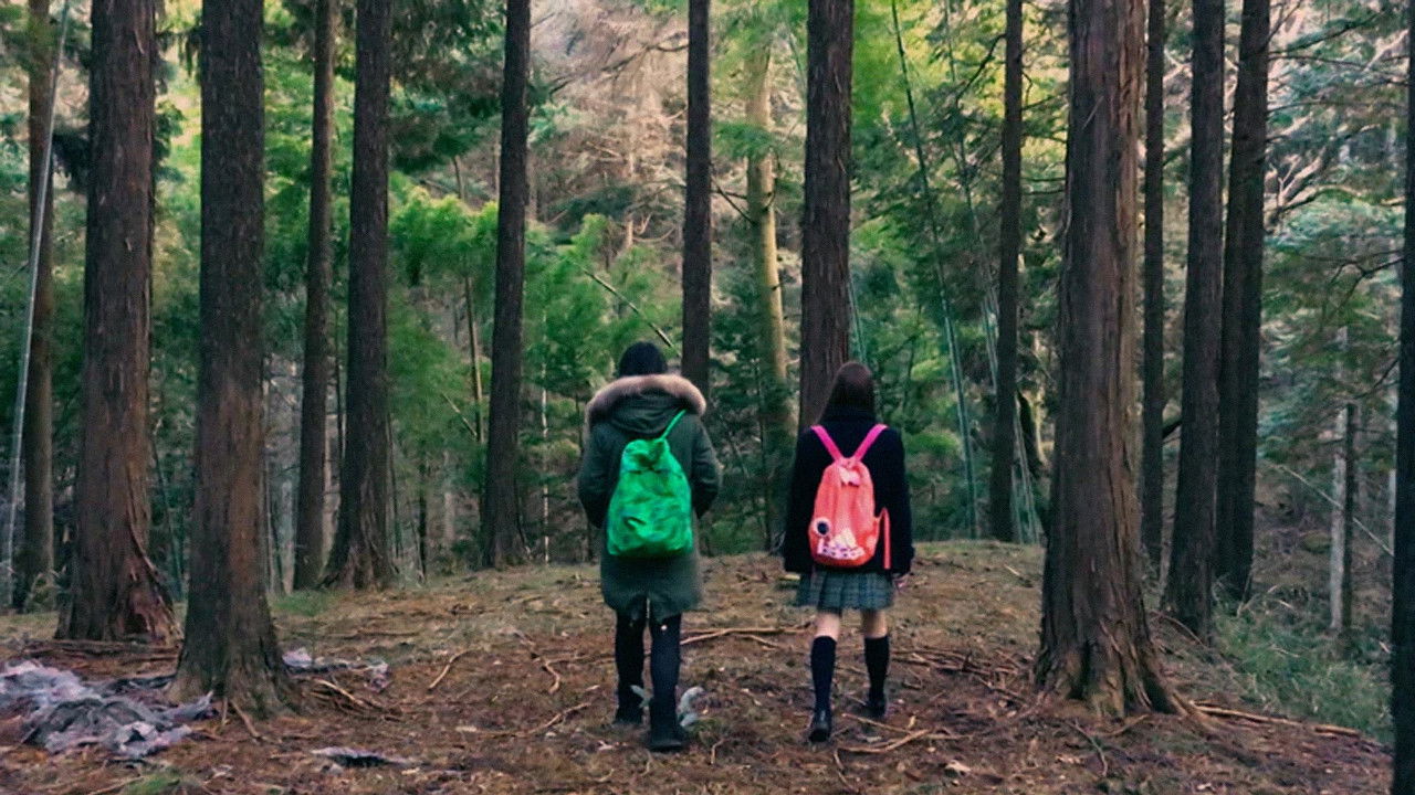 fuji_jukai.mov backdrop