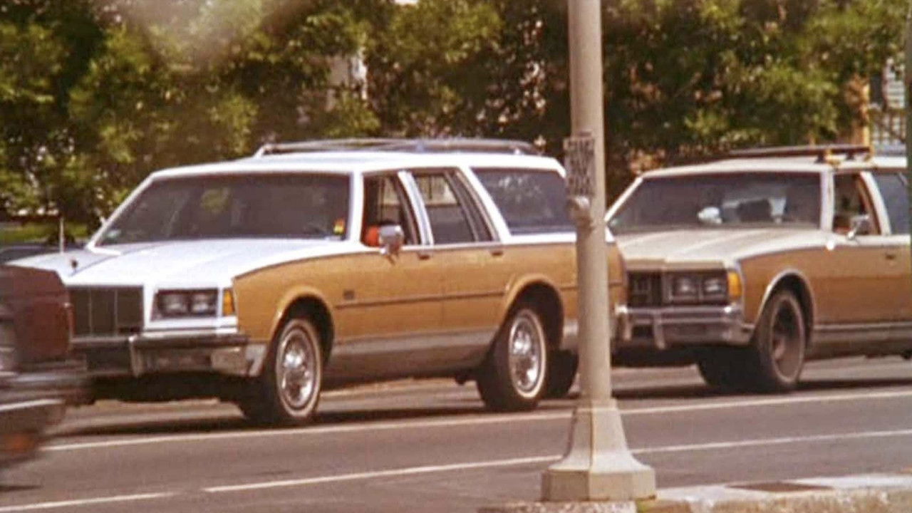 Rules of the Road backdrop