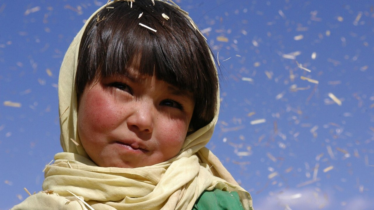 Buddha Collapsed Out of Shame backdrop