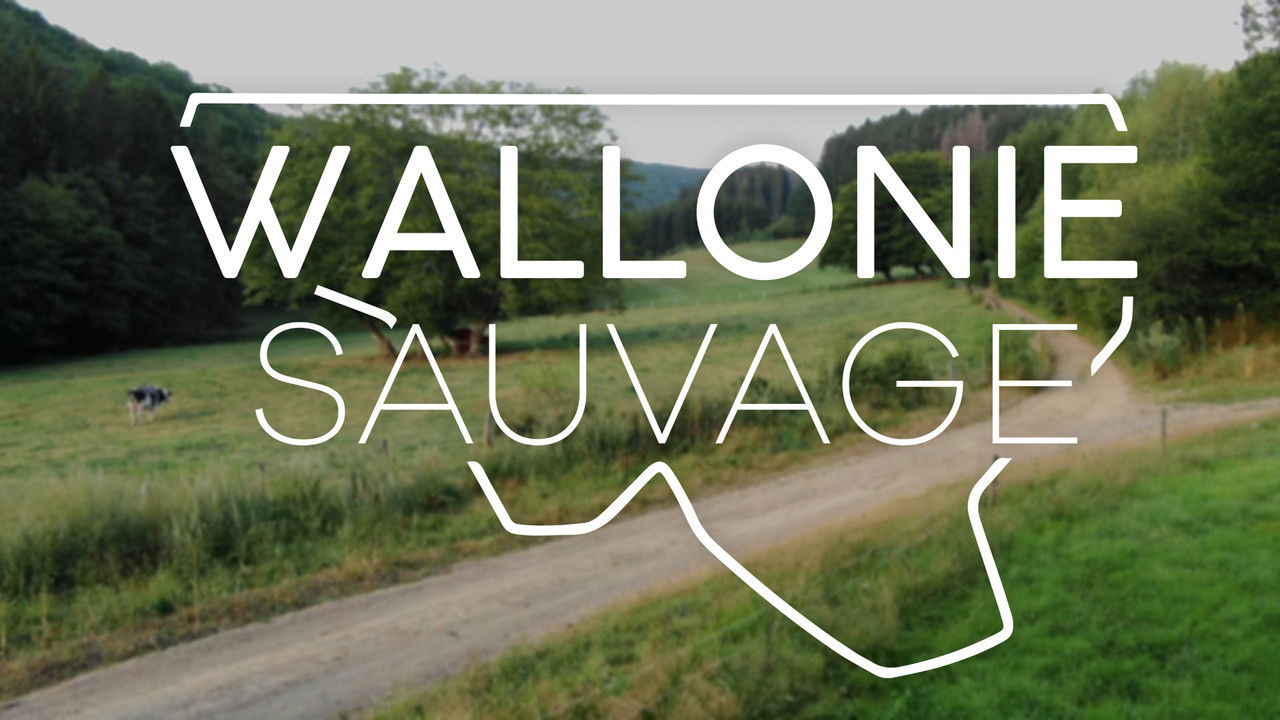 Wallonie sauvage backdrop