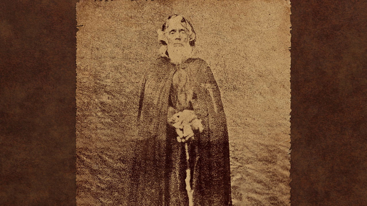 Wonder of the Century backdrop