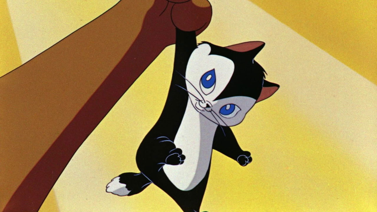 Kiss Me Cat backdrop