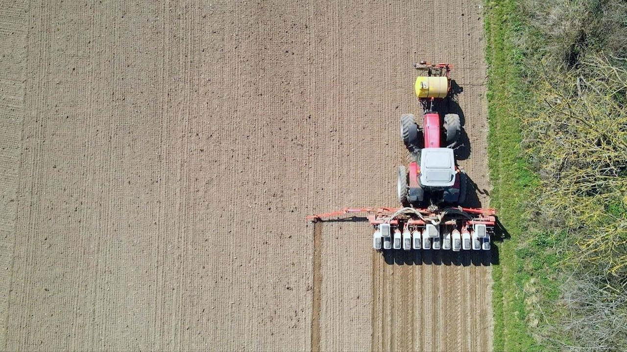 Insecticides: A License to Kill backdrop