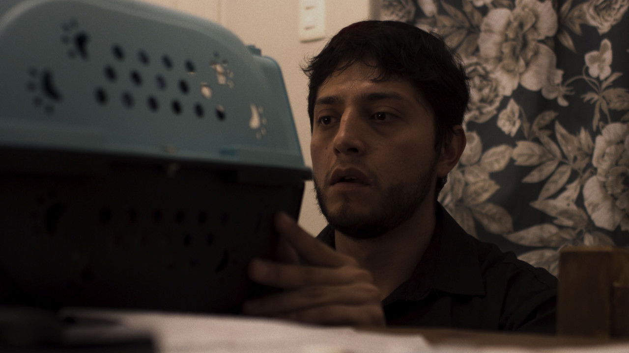 I Plead Time Does Not Take You Away backdrop