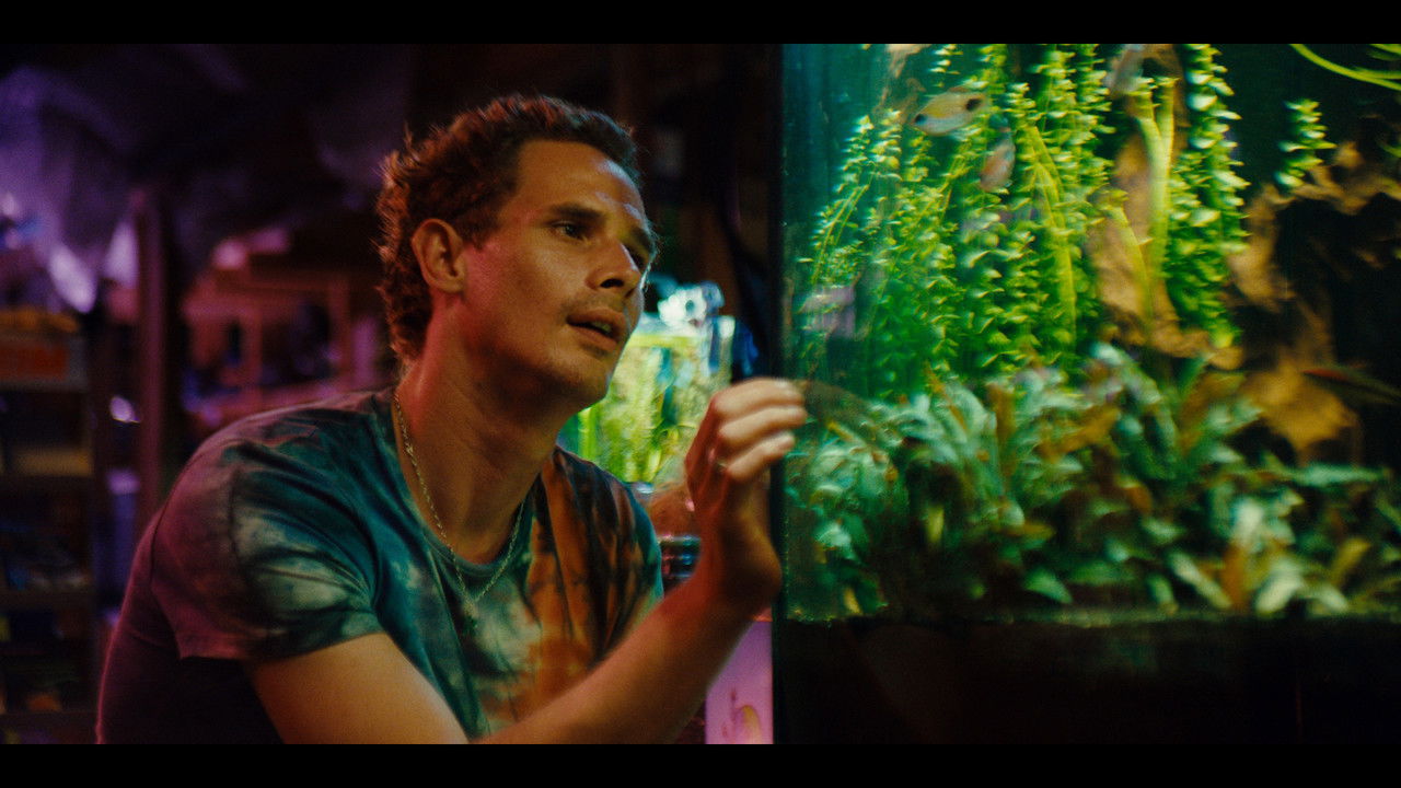 Rocky Meets Lucy backdrop