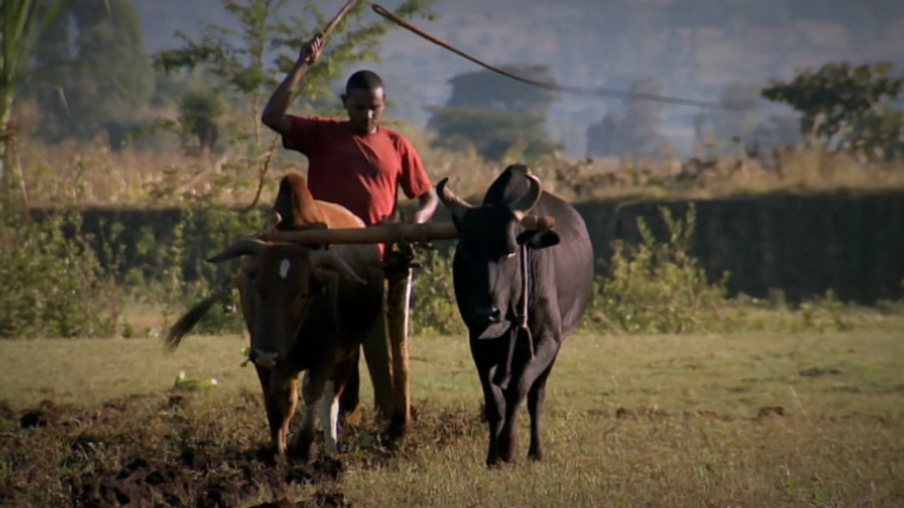 Planète à vendre backdrop