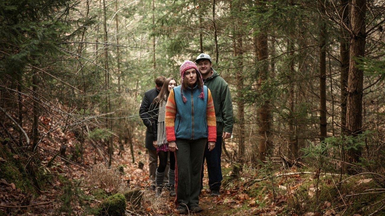 Chalet for sale backdrop