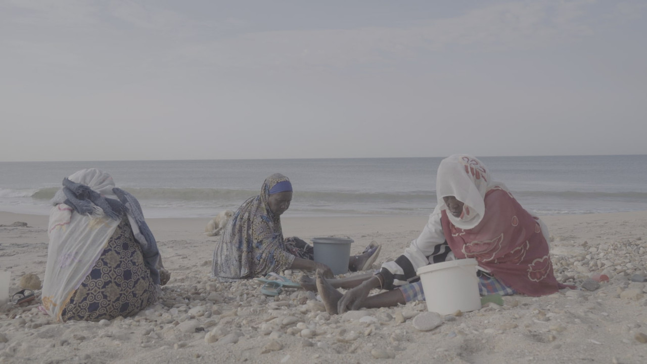 A Letter from Yene backdrop