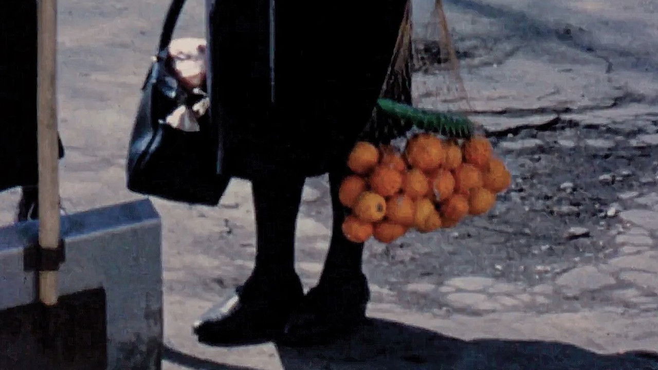 Terra Femme backdrop