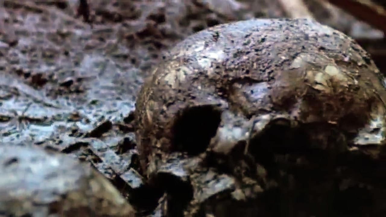 The Riverman backdrop