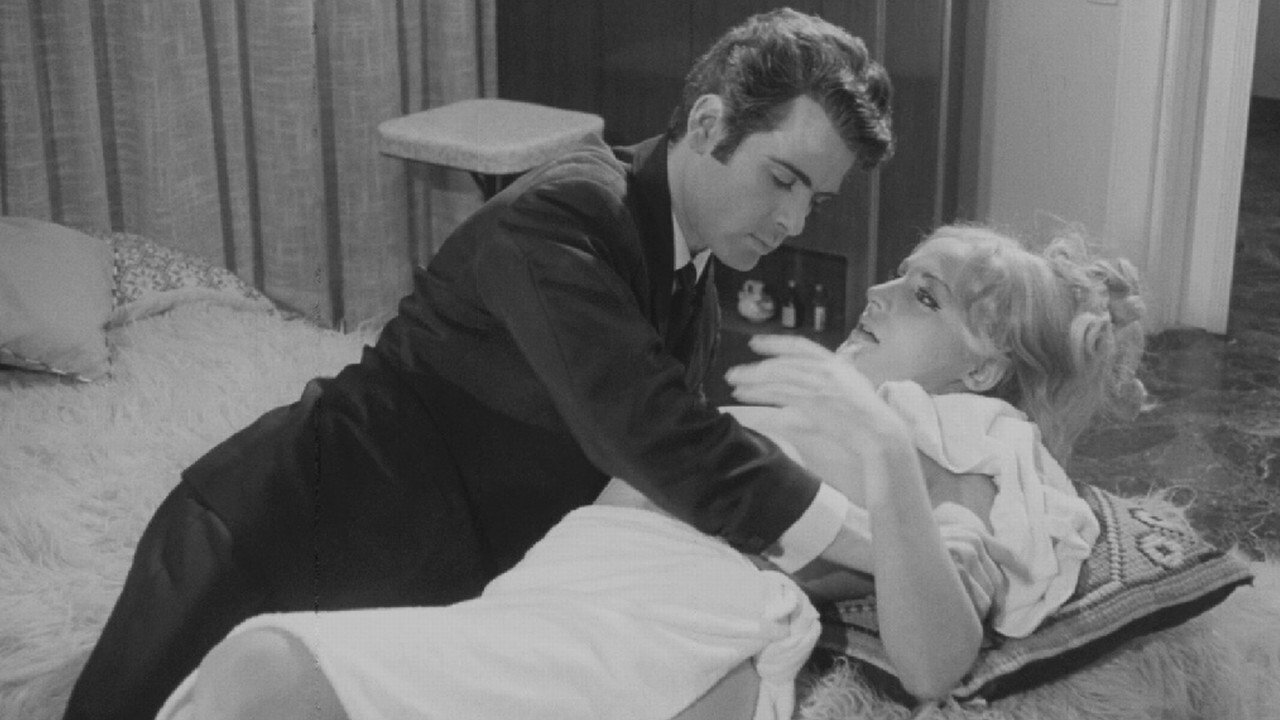 The Wild Pussycat backdrop