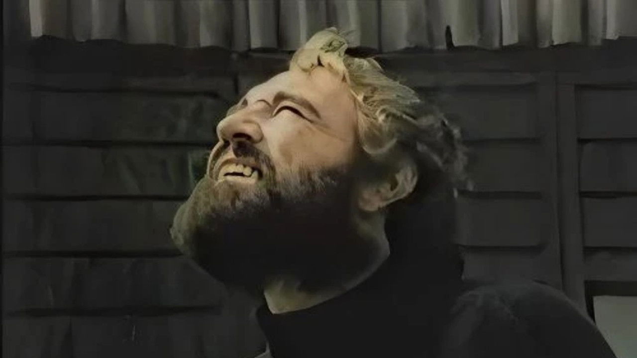 The Snow Goose backdrop