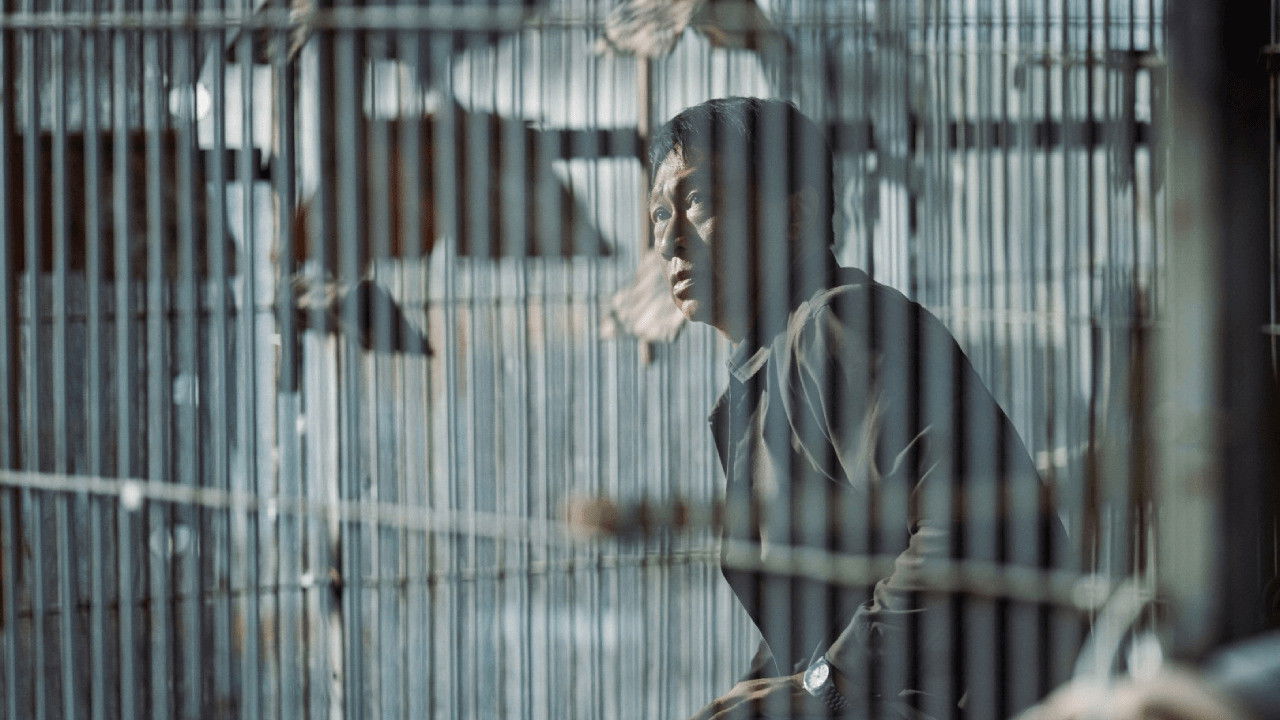 Coo-Coo 043 backdrop