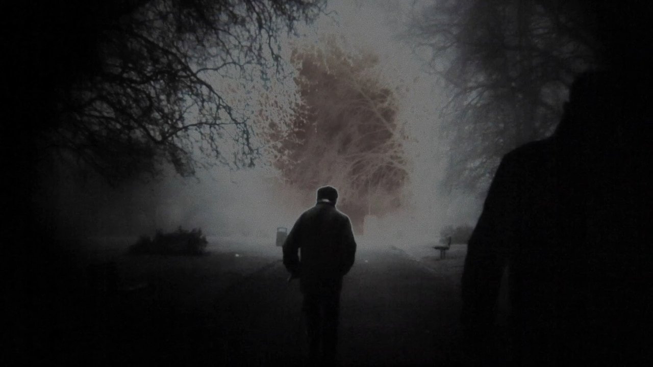 Ten Years In The Sun backdrop