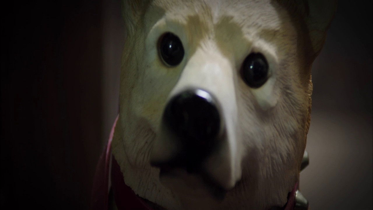 The Incredible Truth backdrop