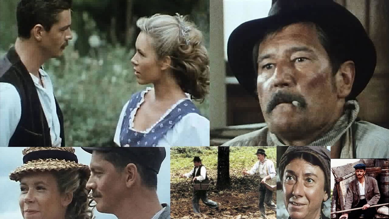 Des grives aux loups backdrop