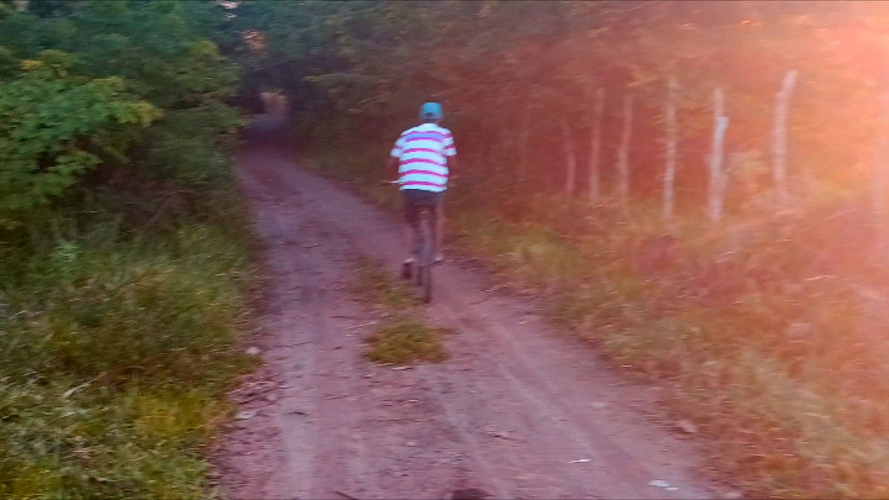 Me Dê Sua Mão, Iremos Para Floresta backdrop