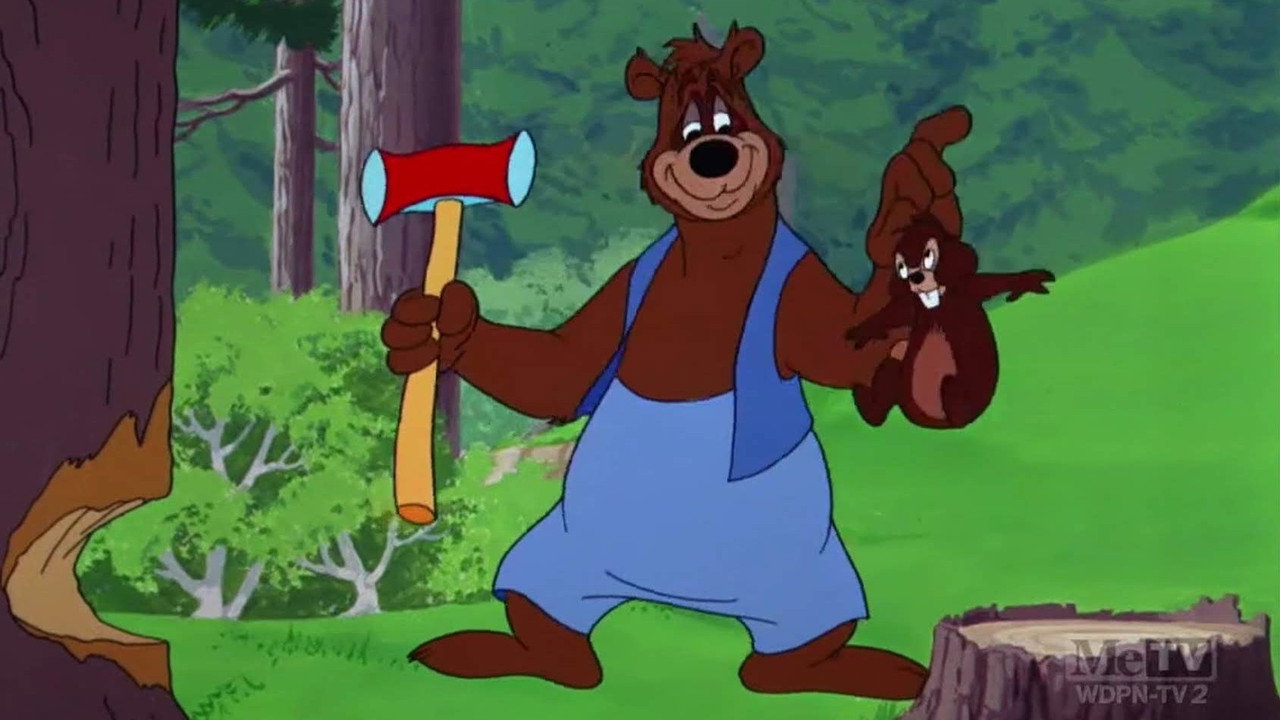 Busybody Bear backdrop