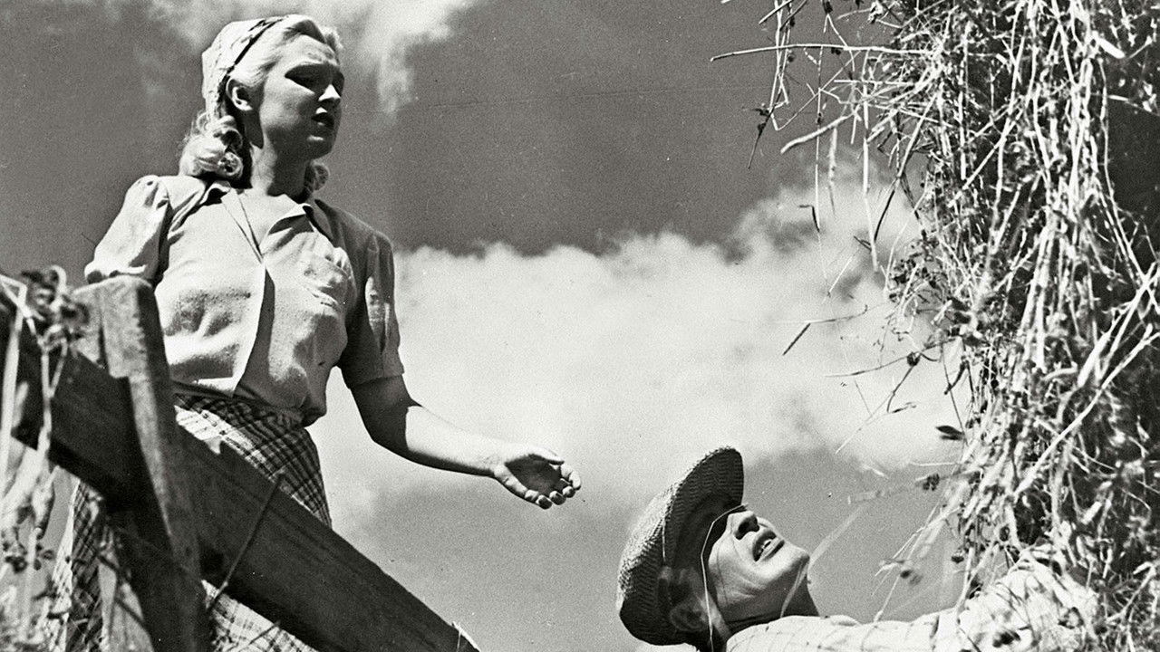 Oi, kallis Suomenmaa backdrop