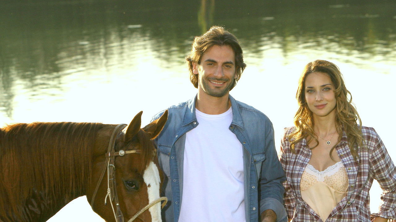 Wounded Hearts backdrop