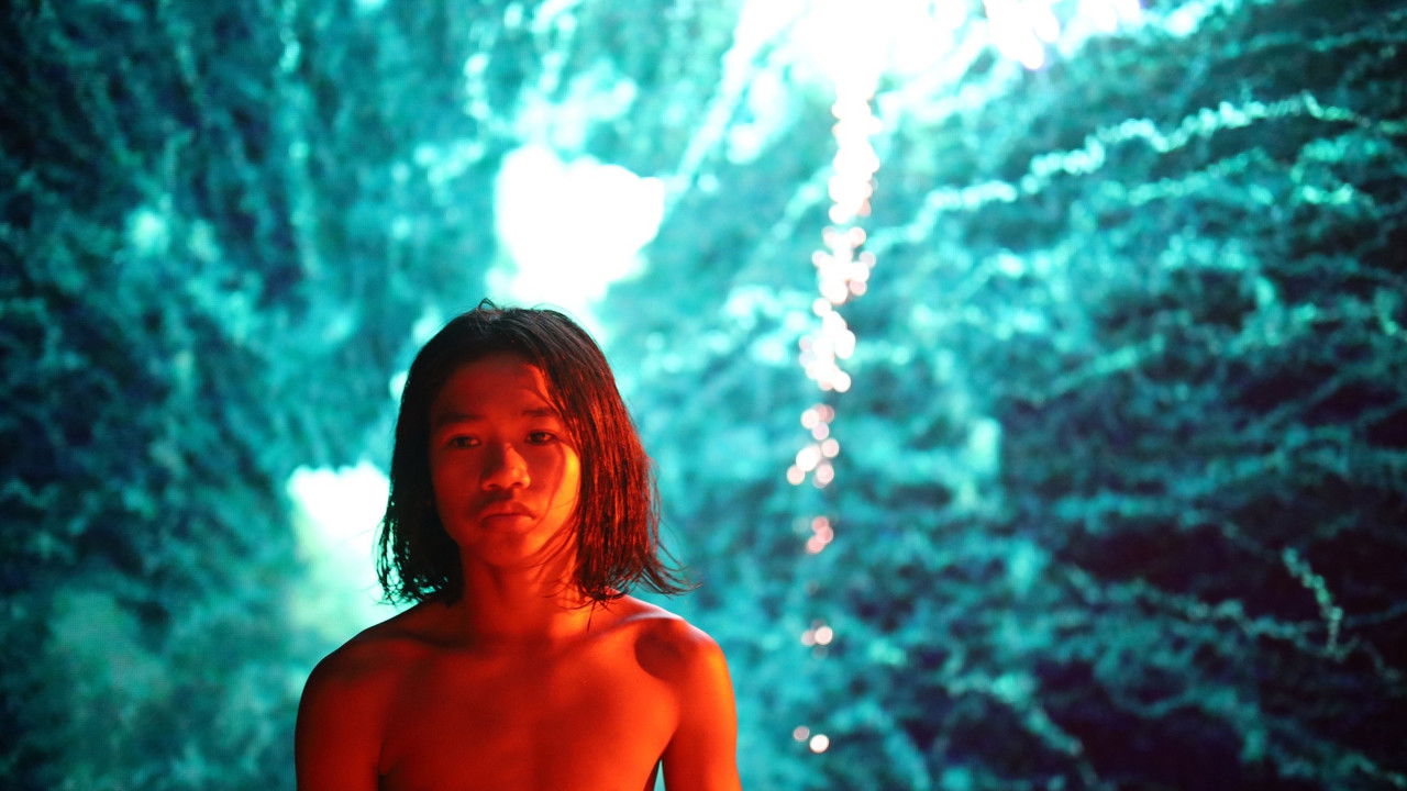 The Garden of Earthly Delights backdrop