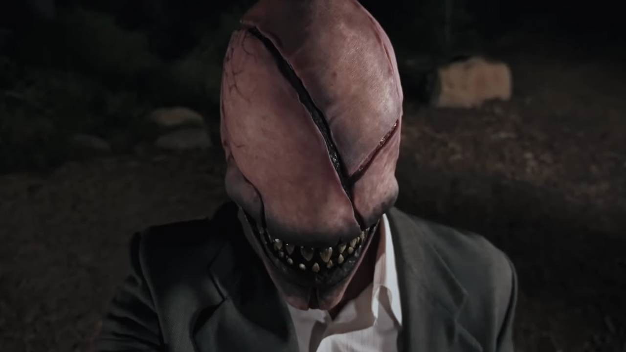 The Look-See backdrop