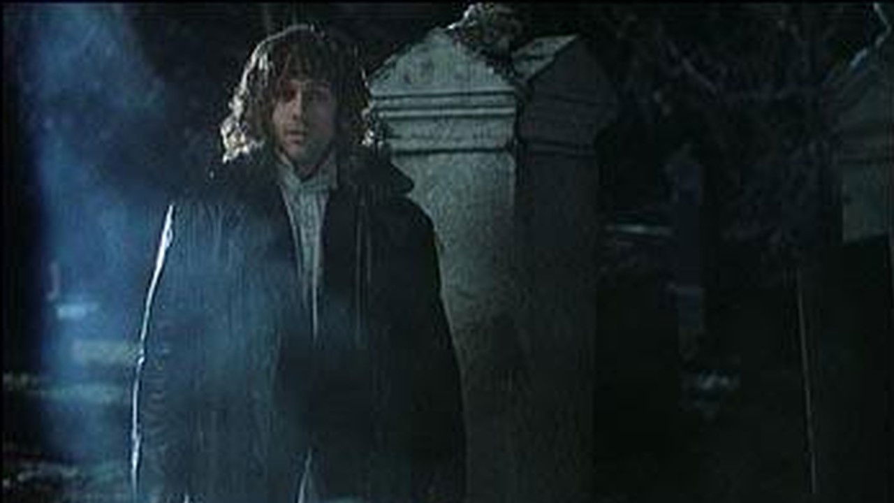 Blood & Donuts backdrop