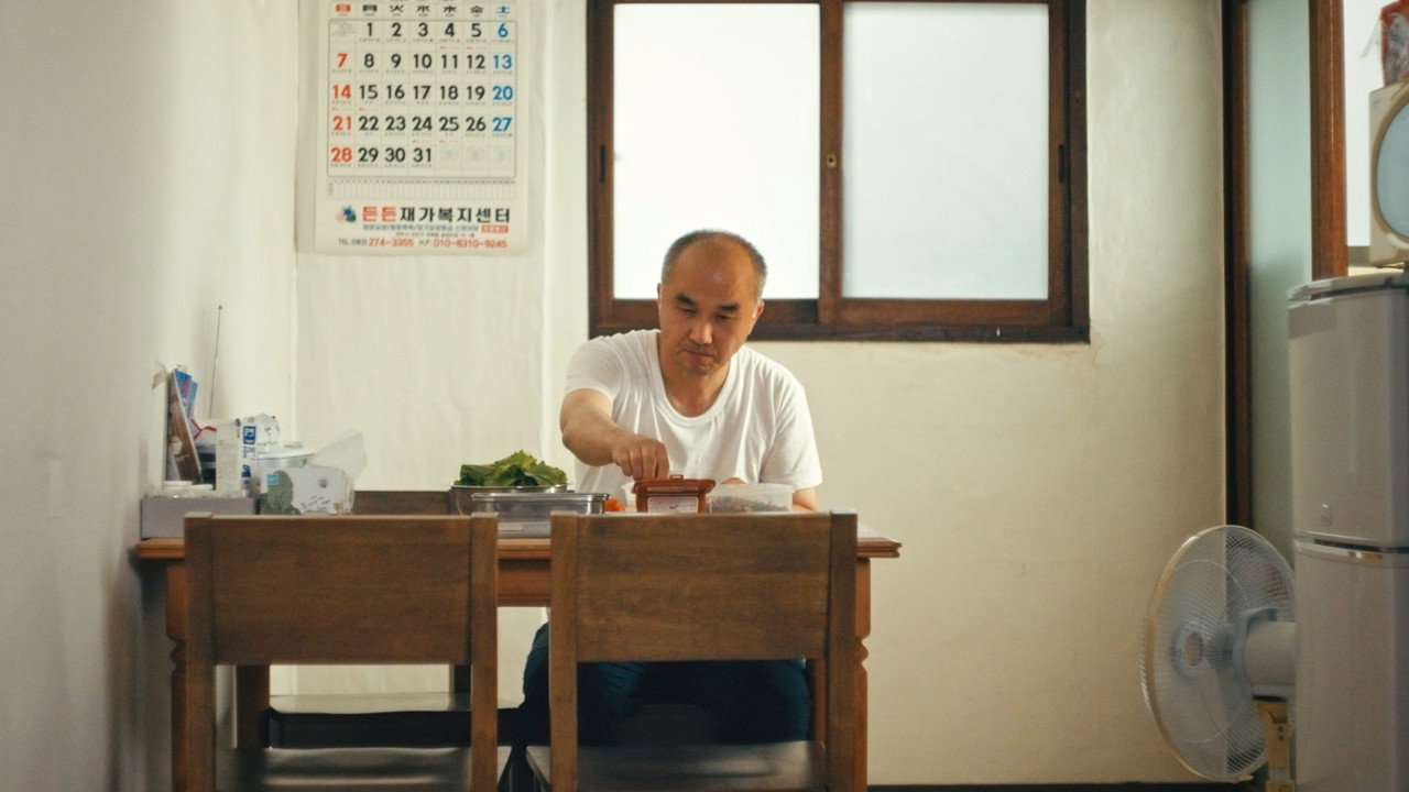 The garden plot backdrop