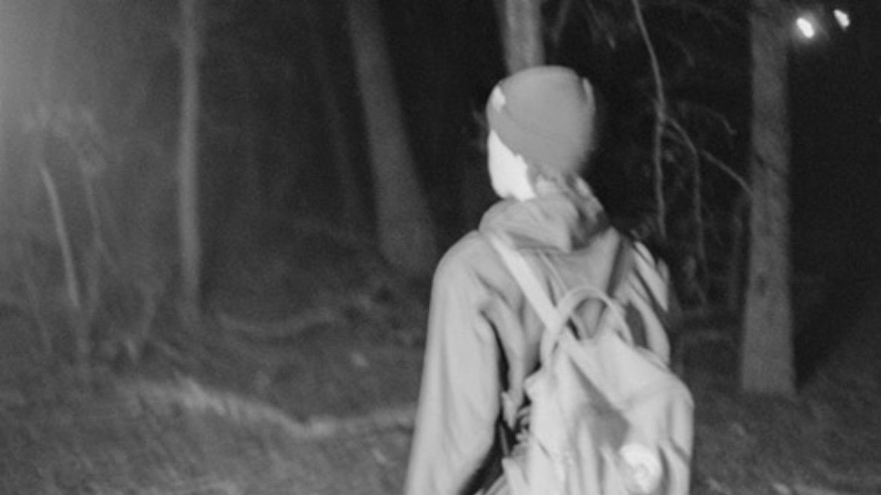 A Deer's Deal backdrop