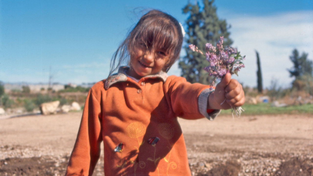 The Colour of Olives backdrop