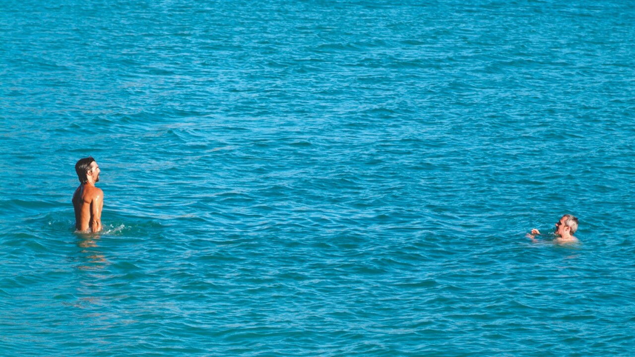 August Days backdrop