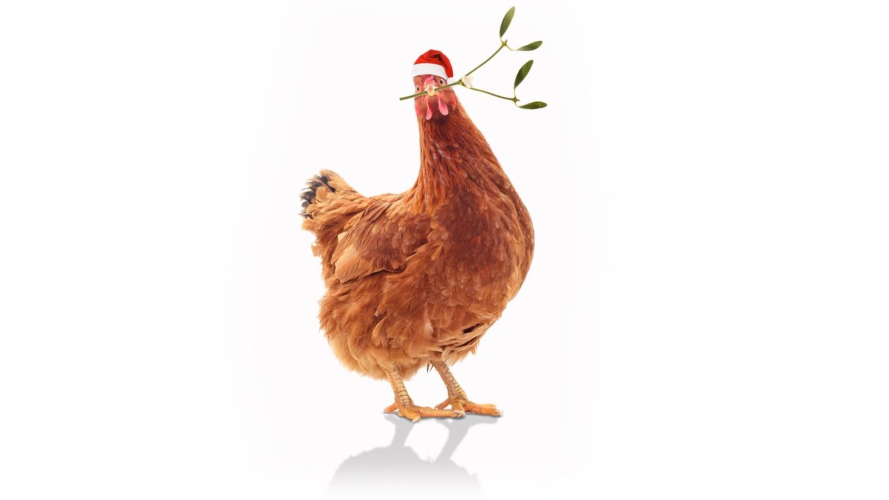 Feather Christmas backdrop