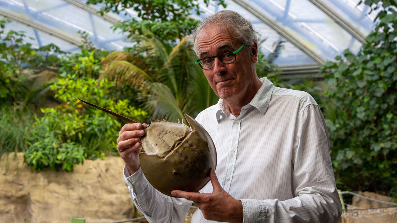 Govert naar de oorsprong van de mens backdrop