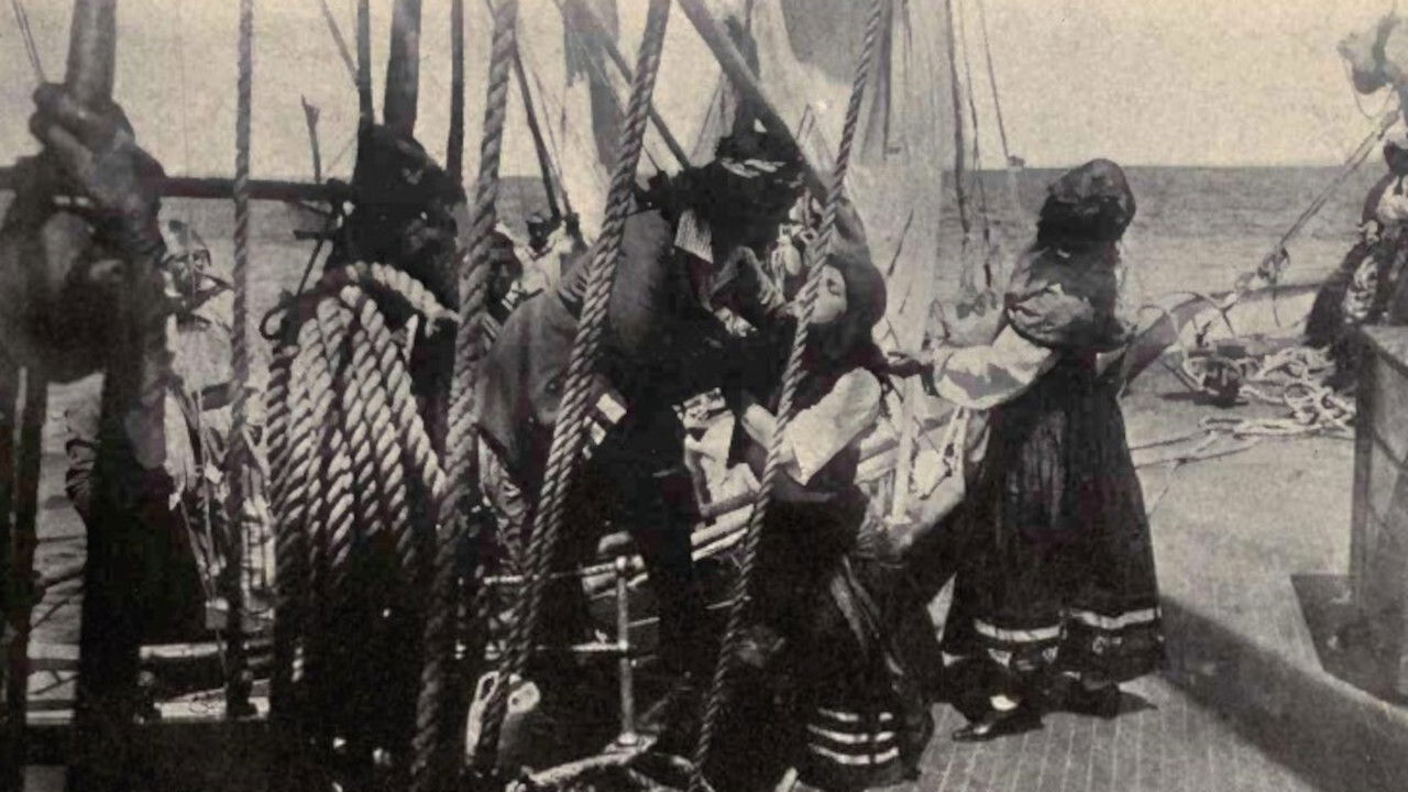 The Rose of Old St. Augustine backdrop