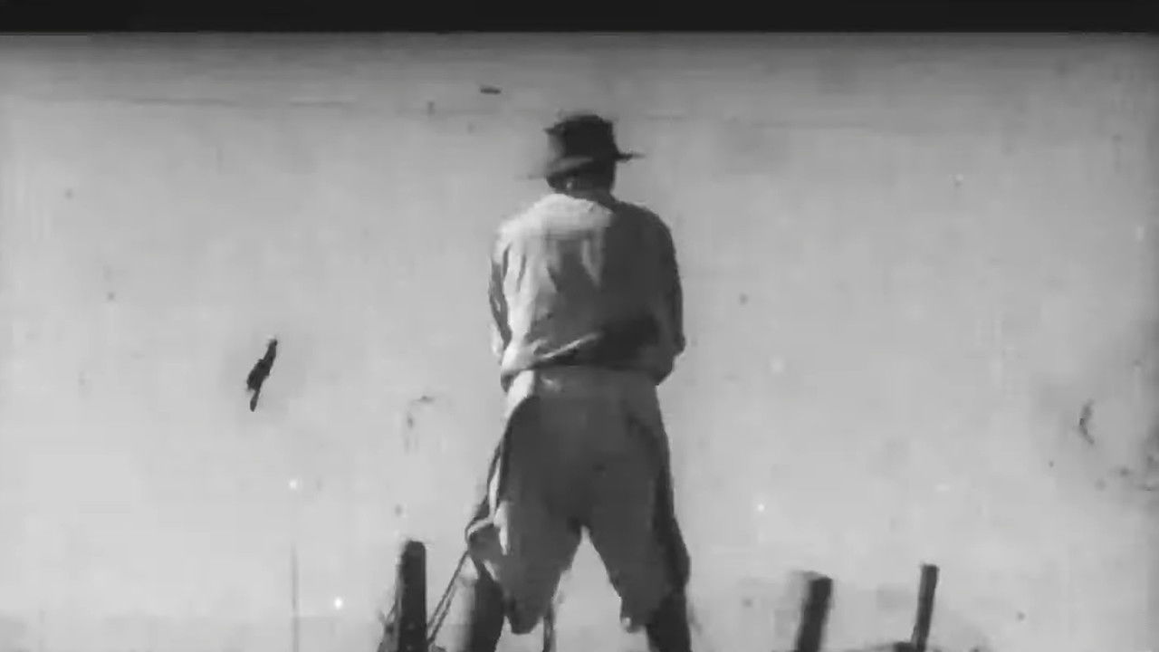 Hachero nomás backdrop