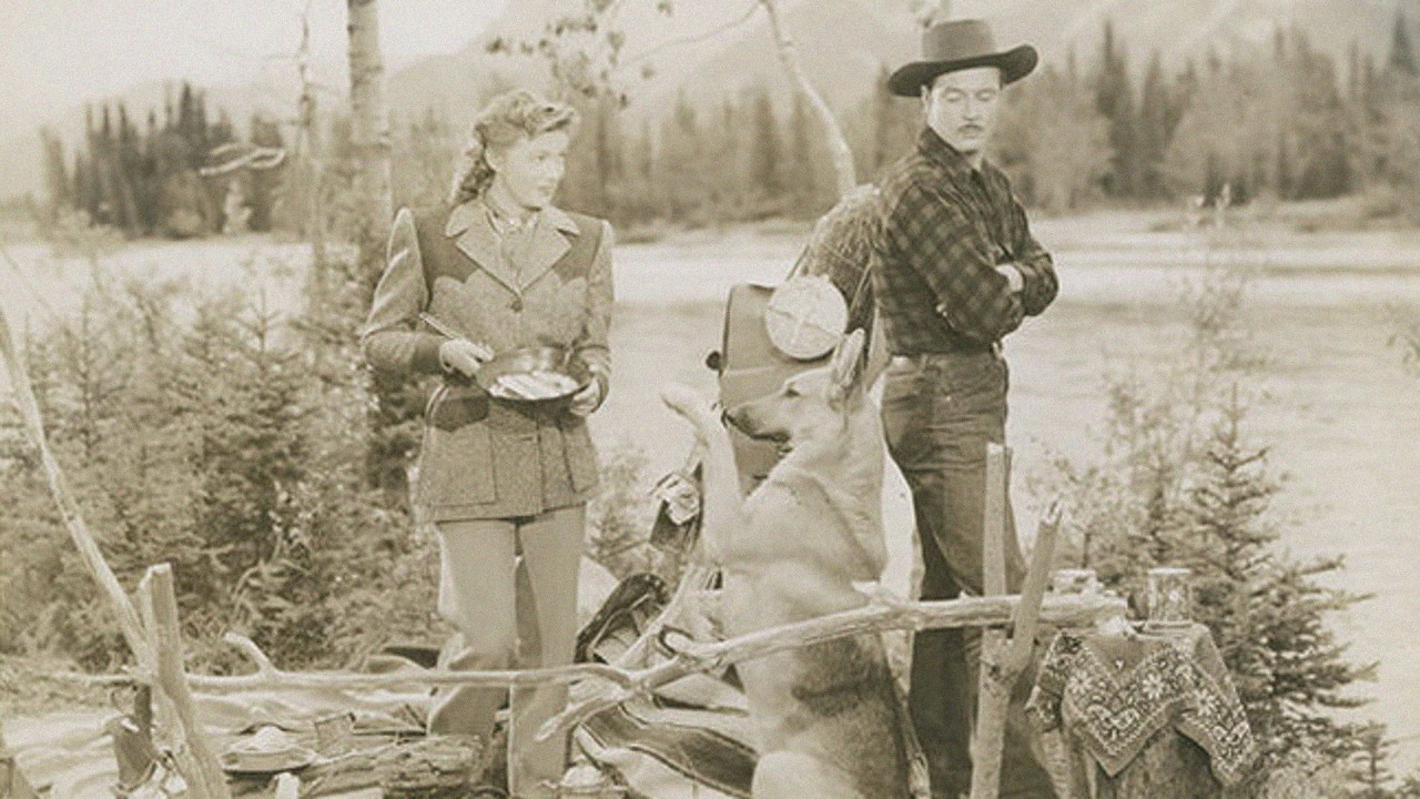 Northwest Stampede backdrop