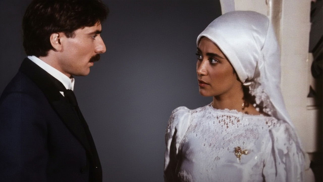 Kuyruklu Yıldız Altında Bir İzdivaç backdrop