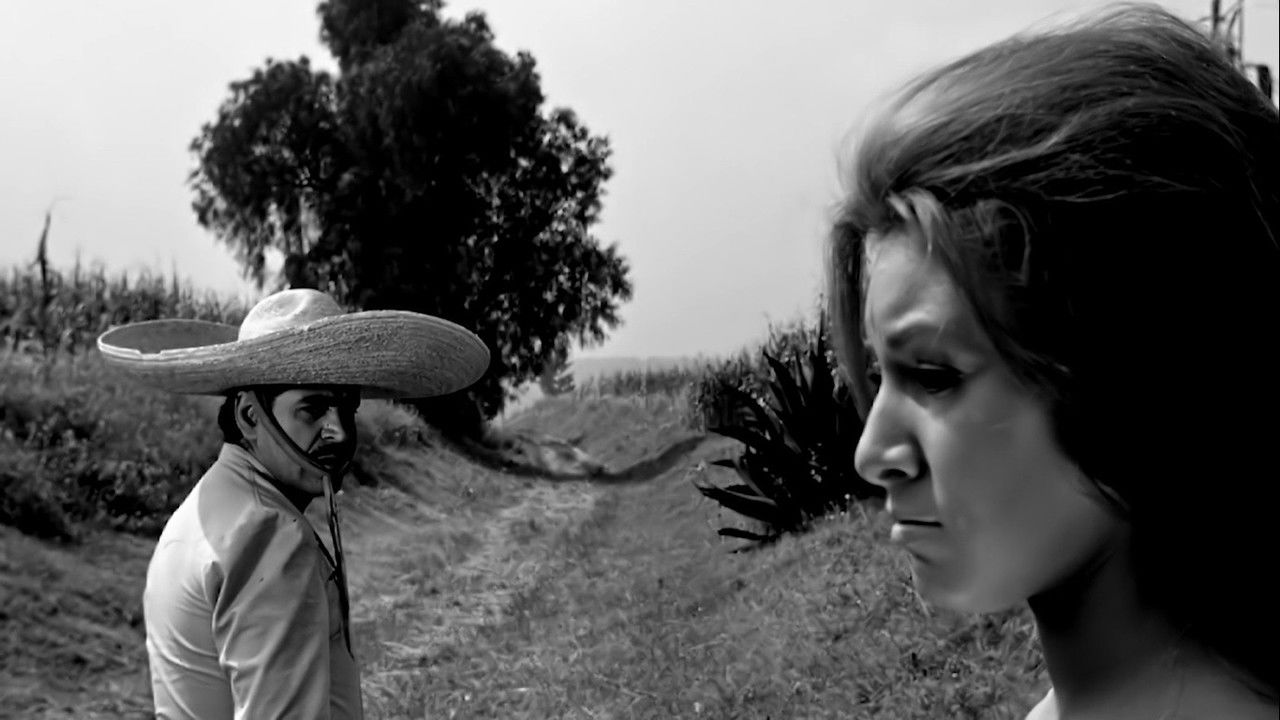 Crosses Over the Wasteland backdrop