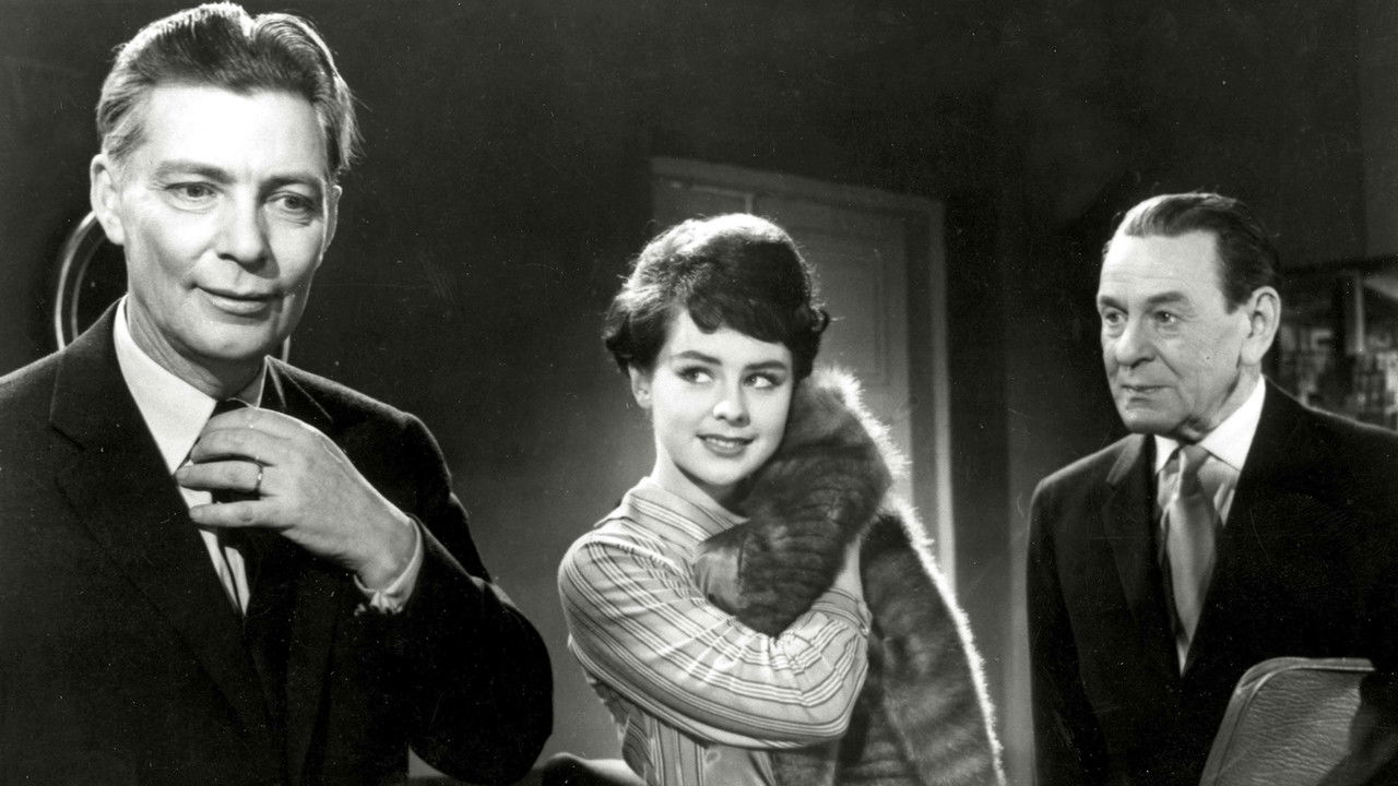 Minkkiturkki backdrop