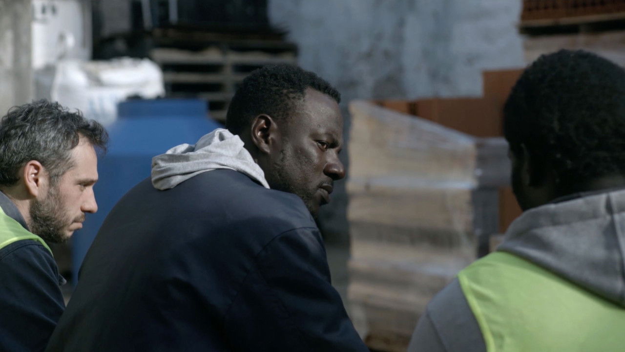 Cas Fortuit backdrop