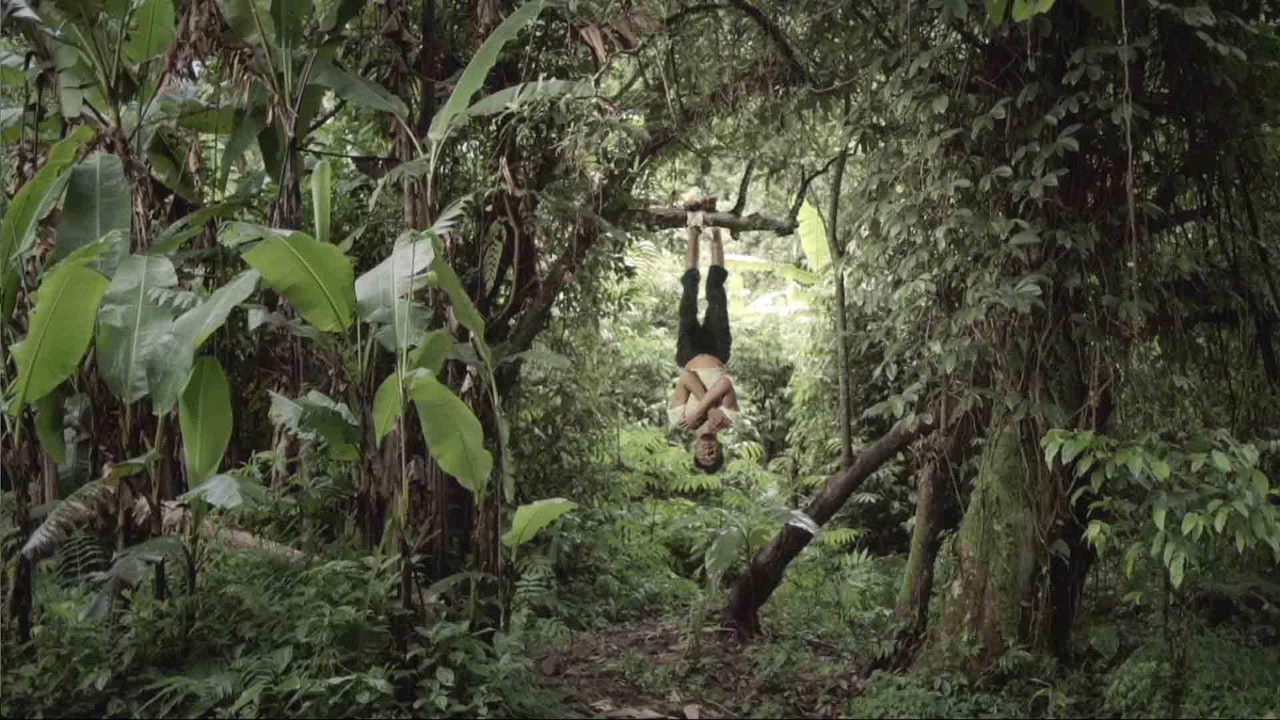 Inner Peace backdrop