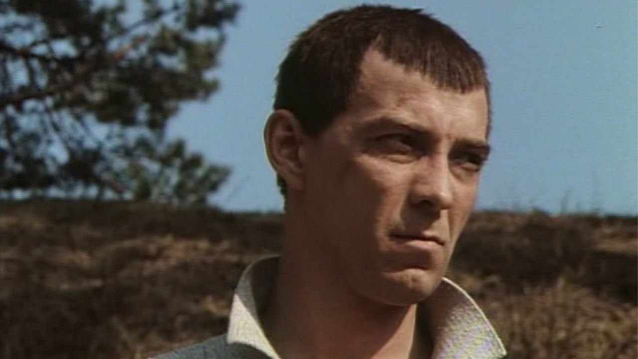 All the Things We Dreamt of for So Long backdrop